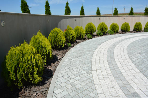 Trusted Brookwood, AL Driveway Pavers Experts