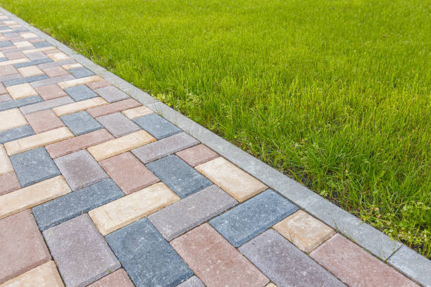 Best Professional Driveway Pavers  in Brookwood, AL